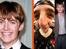 francis bourgeois net worth